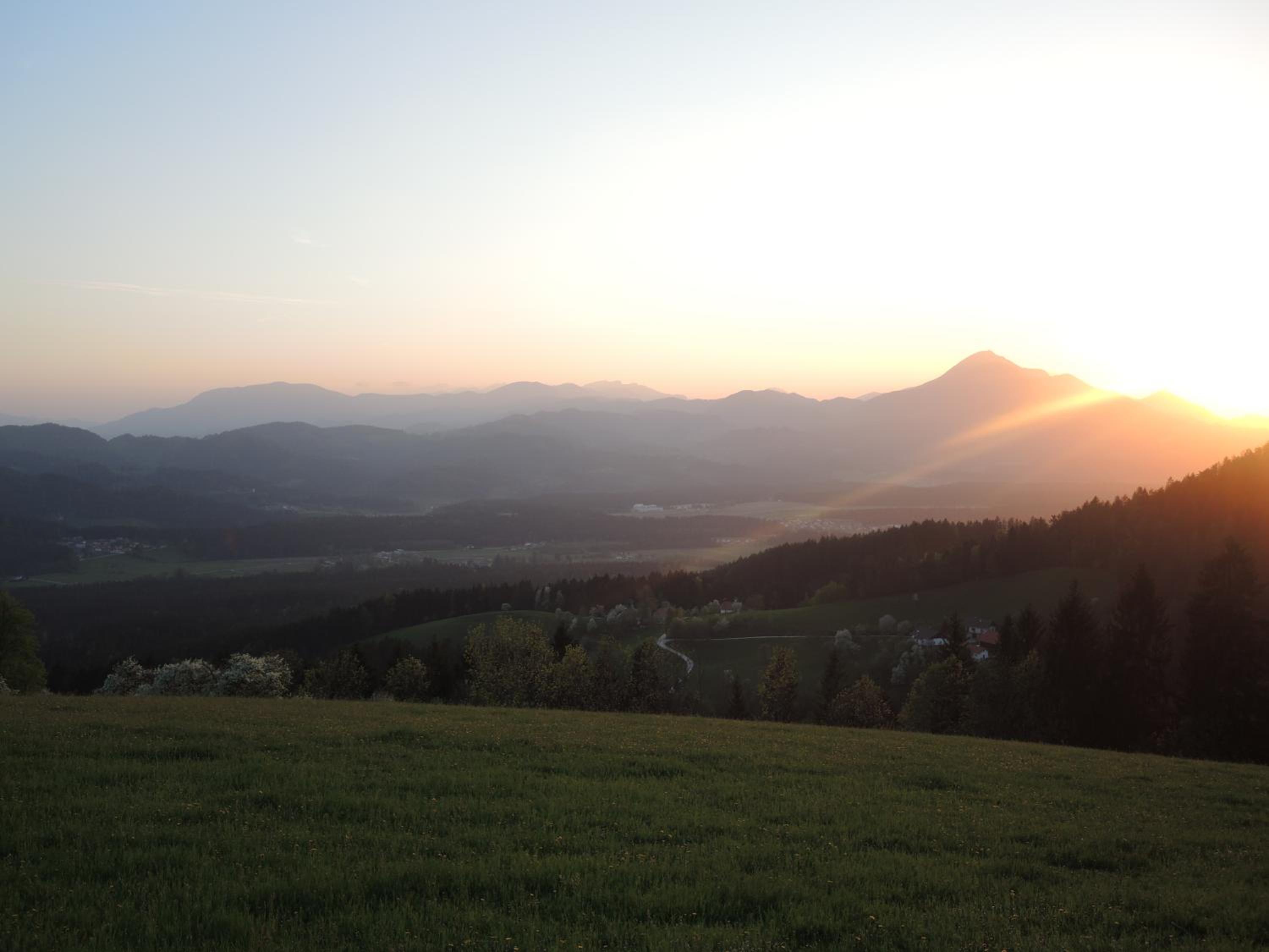 Photo 42