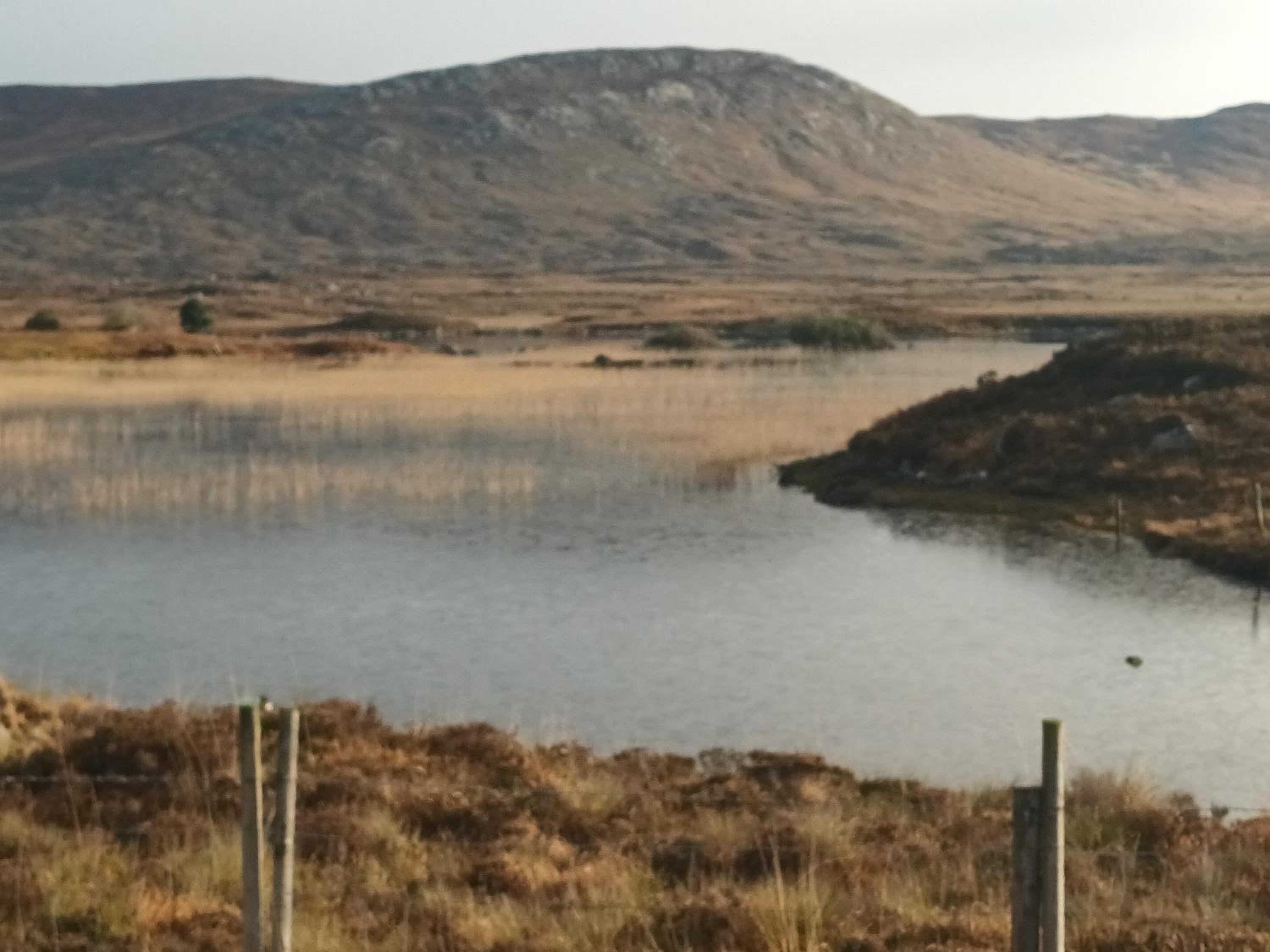 Connemara Lake View Apartment