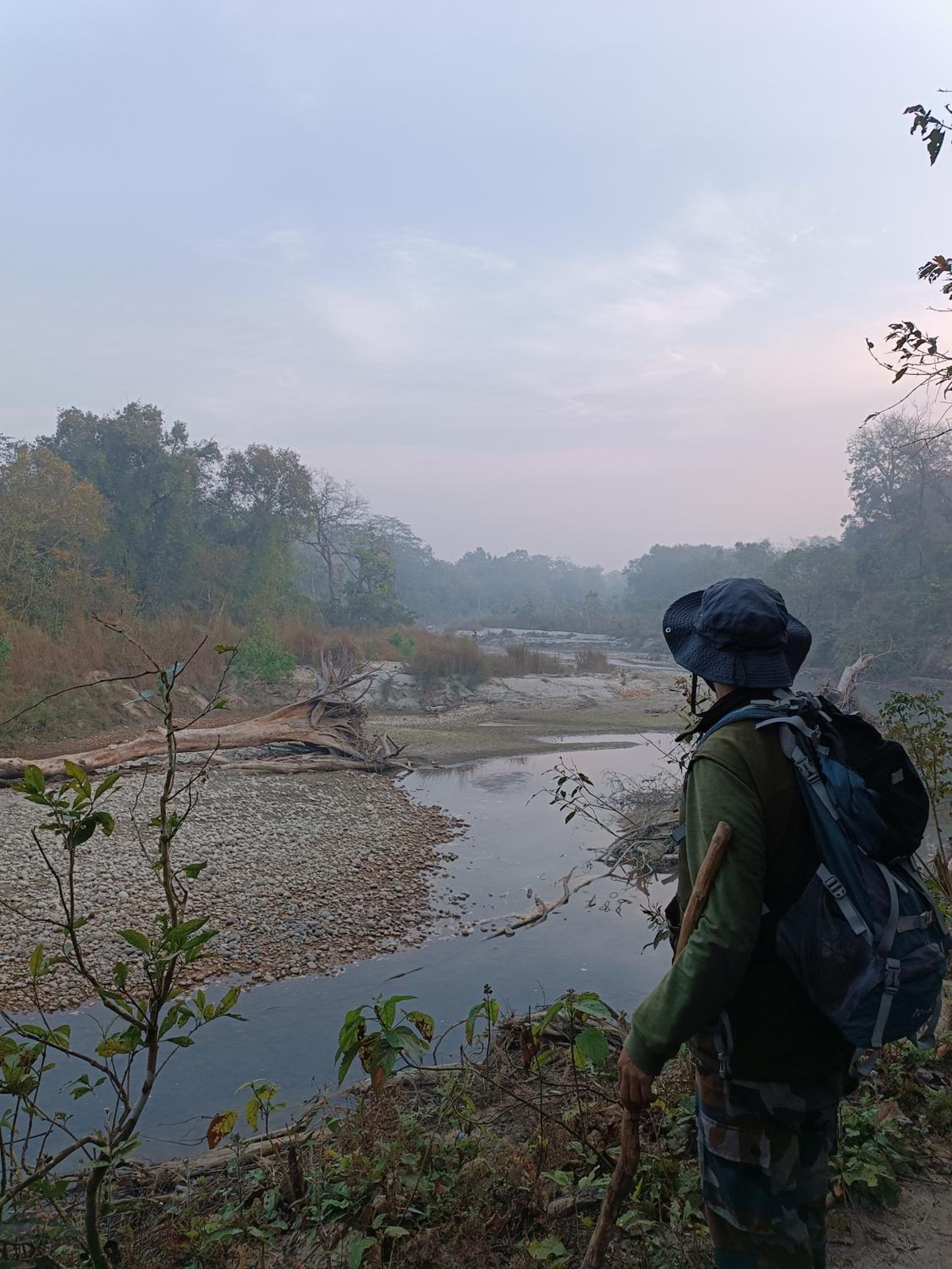 Nanu's Bardiya Homestay view 4