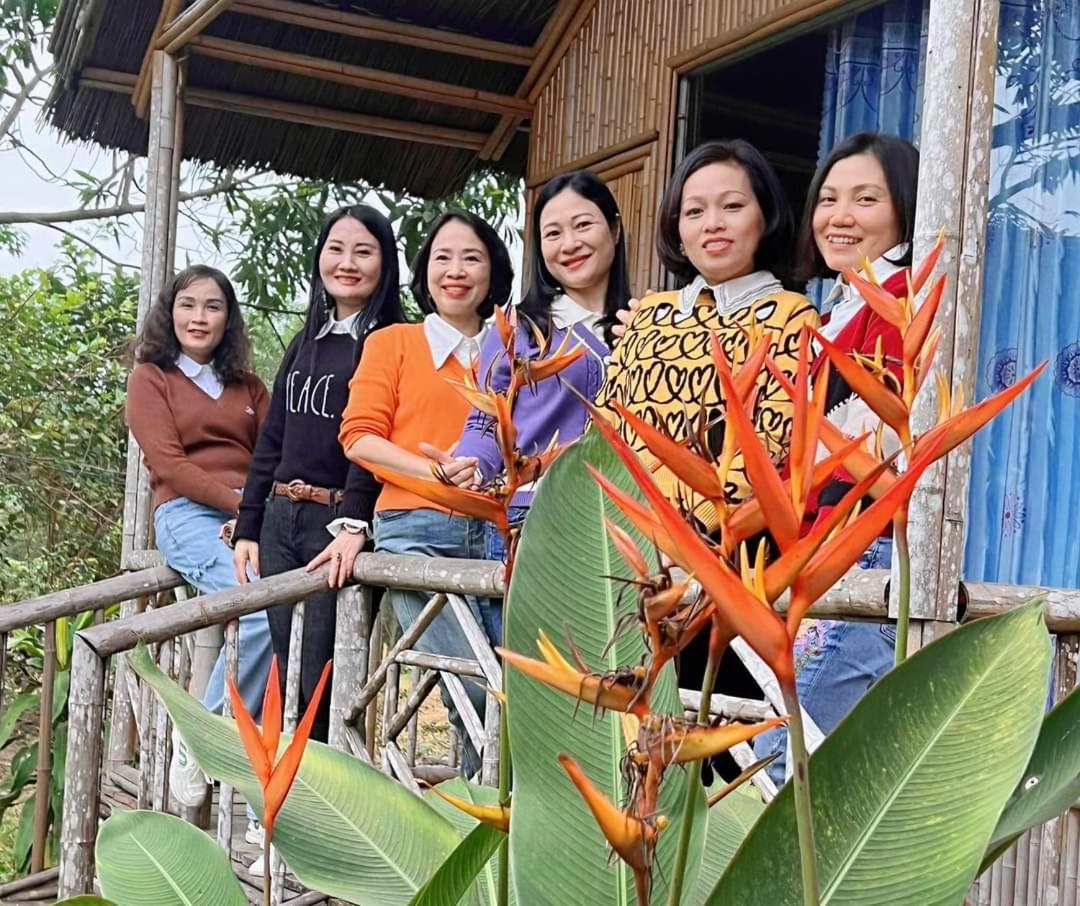 Đảo Chè Thanh Chương - Homestay Gió Lào view 2