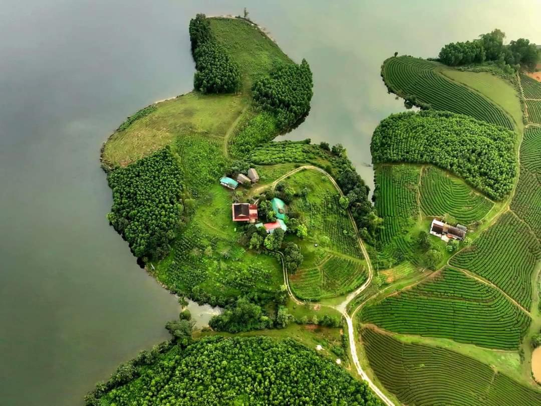Đảo Chè Thanh Chương - Homestay Gió Lào view 3