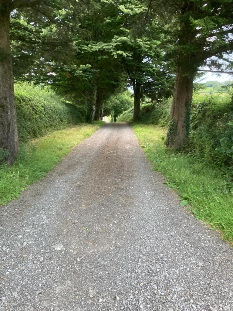 Barn Owl Cottage, The Welsh Reindeer Retreat, Ystradfach Farm , Llandyfaelog, Carmarthen , SA17 5NY view 2