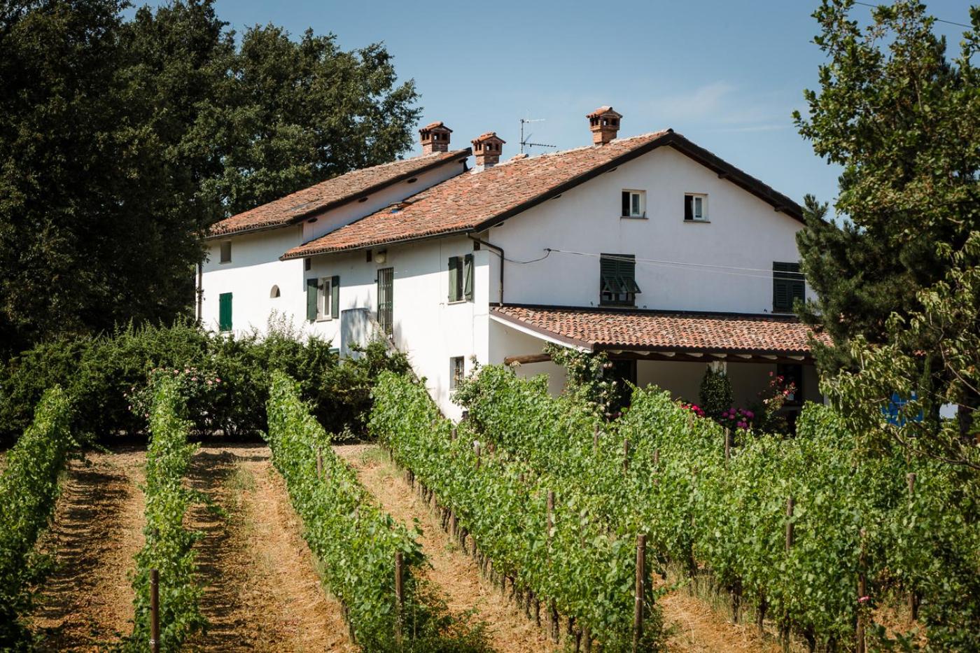 B&B Il Poggio di Gavi view 3