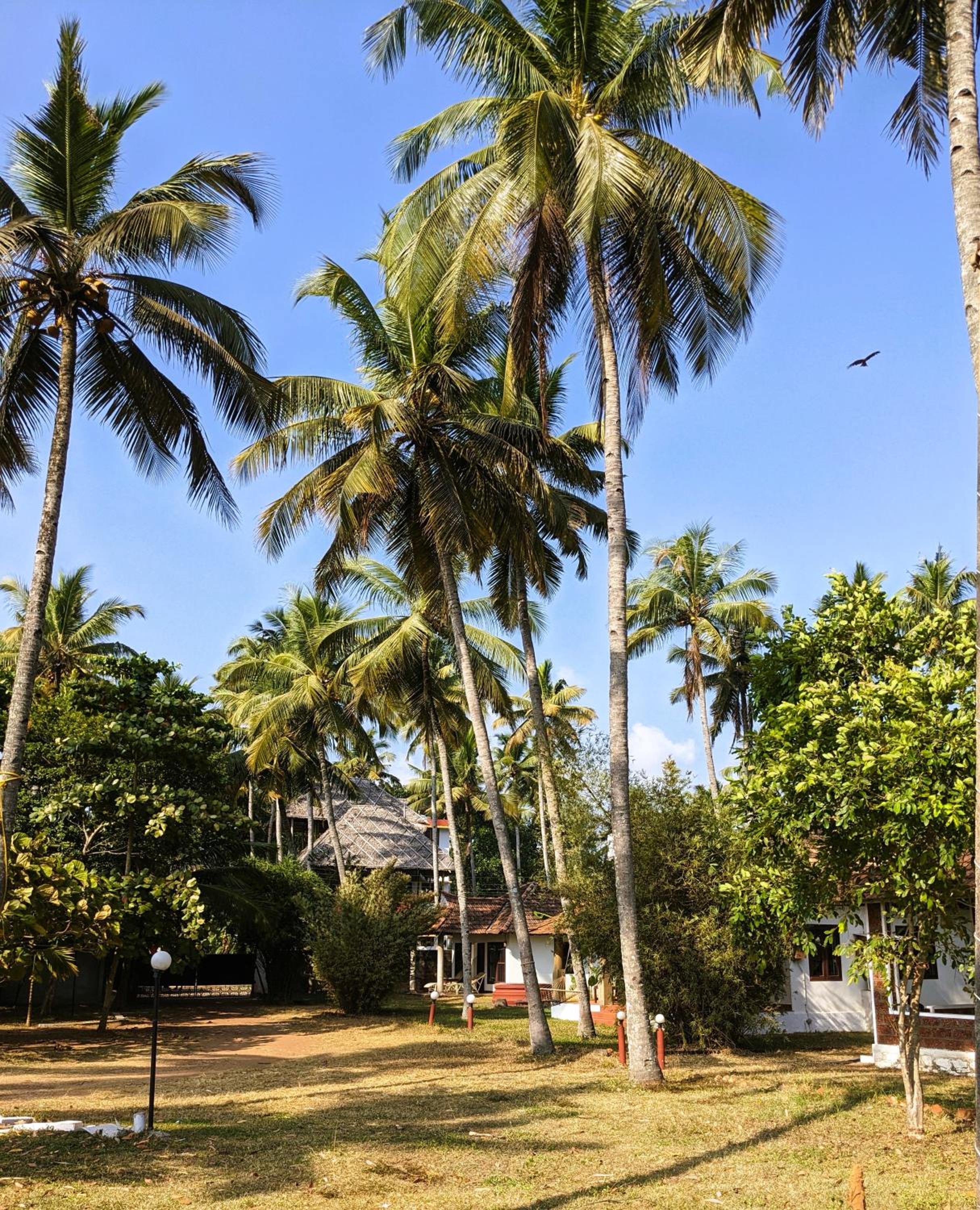 Baycliff Cottages