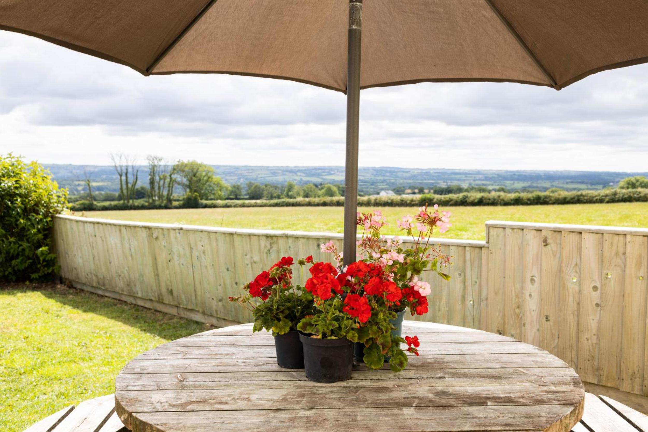 Bryniago Whitland