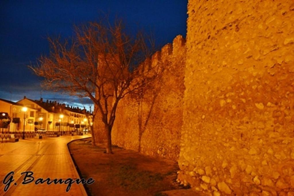 Photo 44
