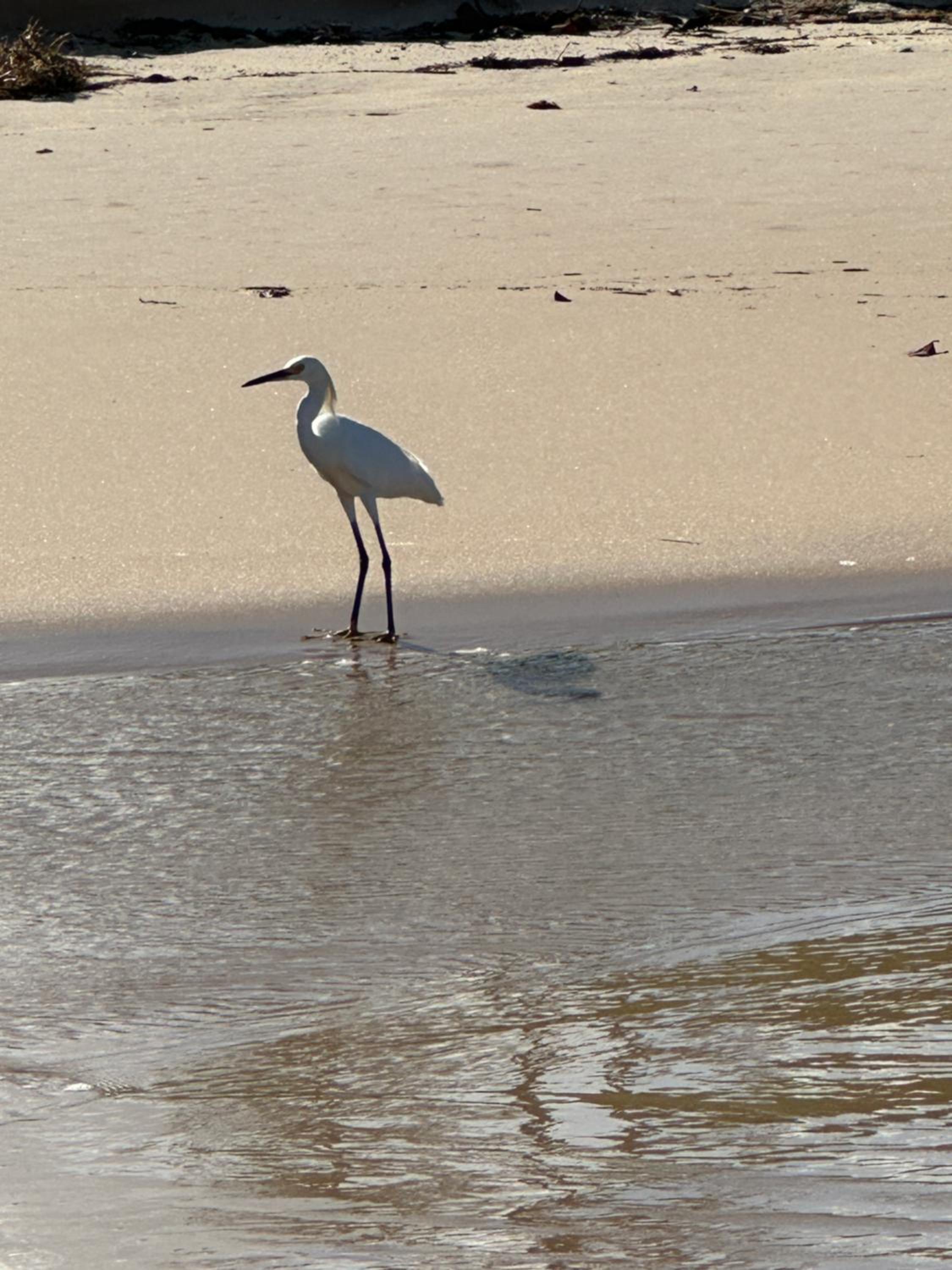 Costa do Sauipe