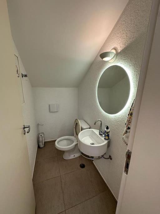 Oásis de Ibiúna