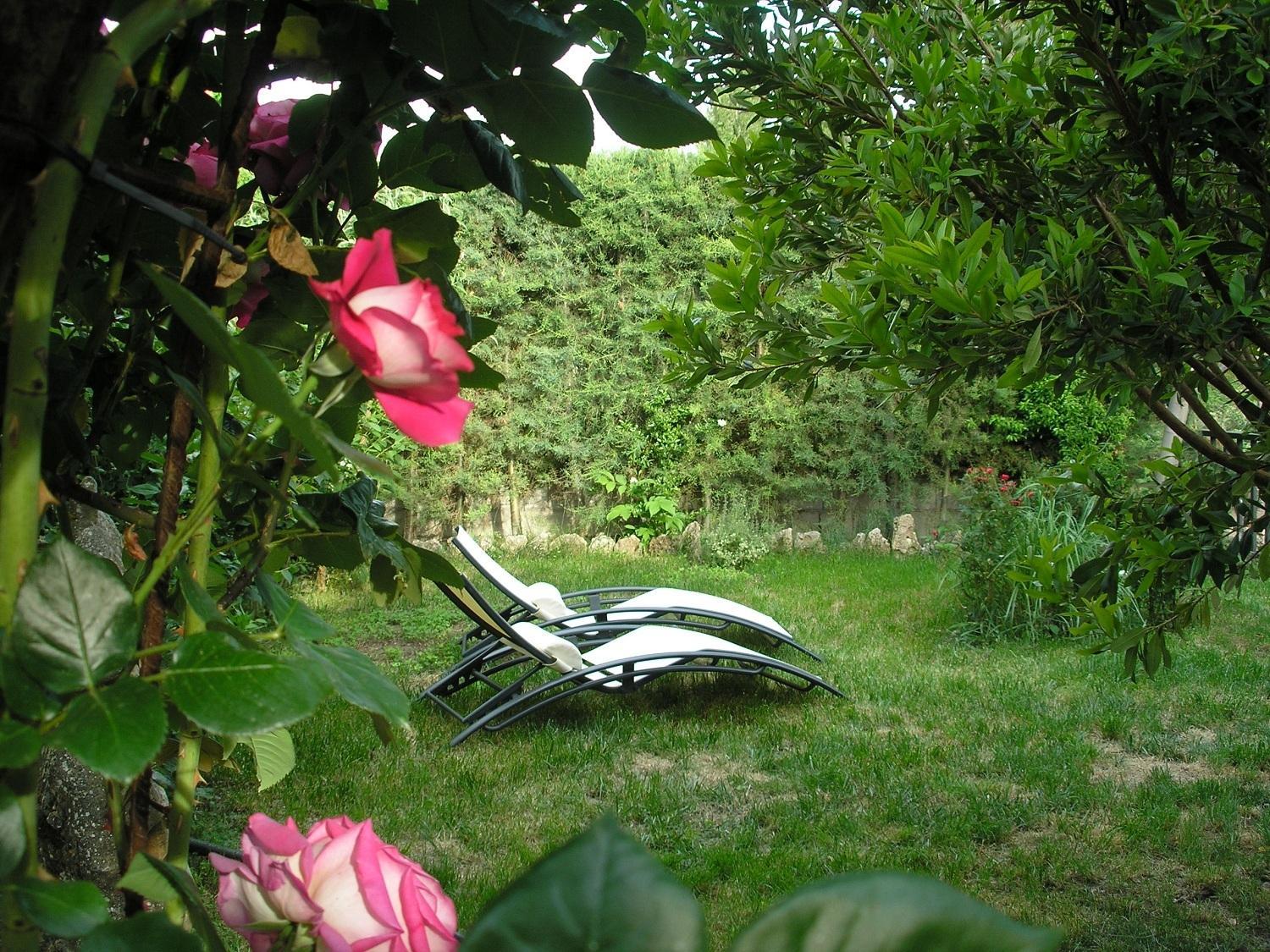 Photo 25