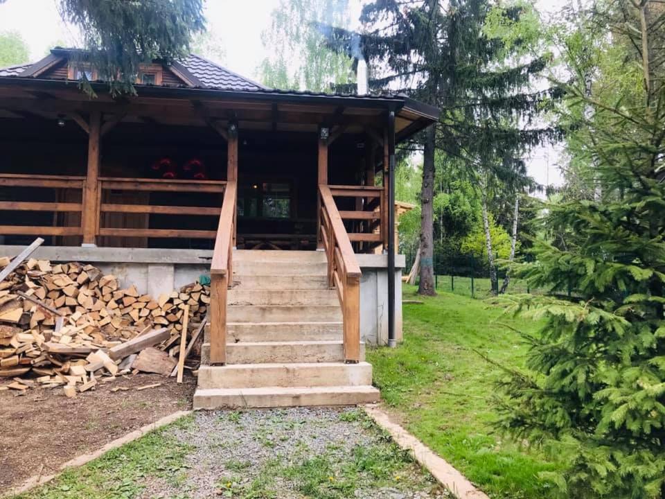 Cabana din padure si casutele din copac Belis view 5