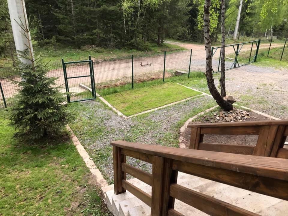 Cabana din padure si casutele din copac Belis view 4