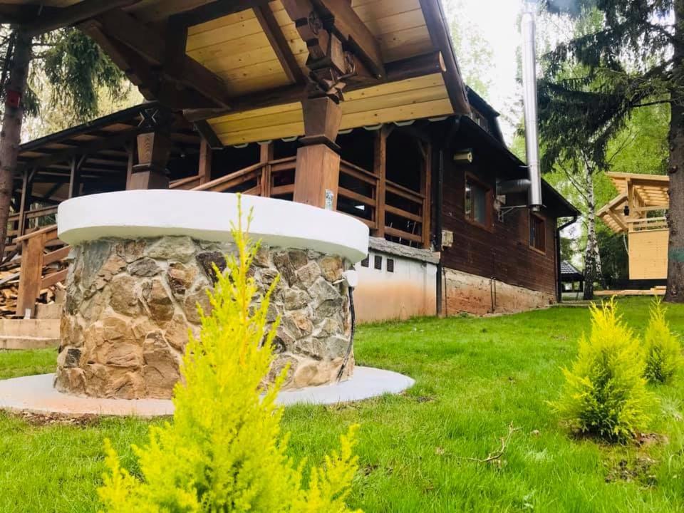 Cabana din padure si casutele din copac Belis view 2