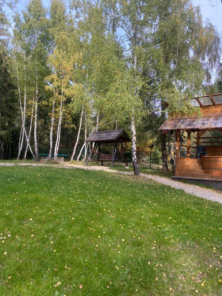 Photo 19