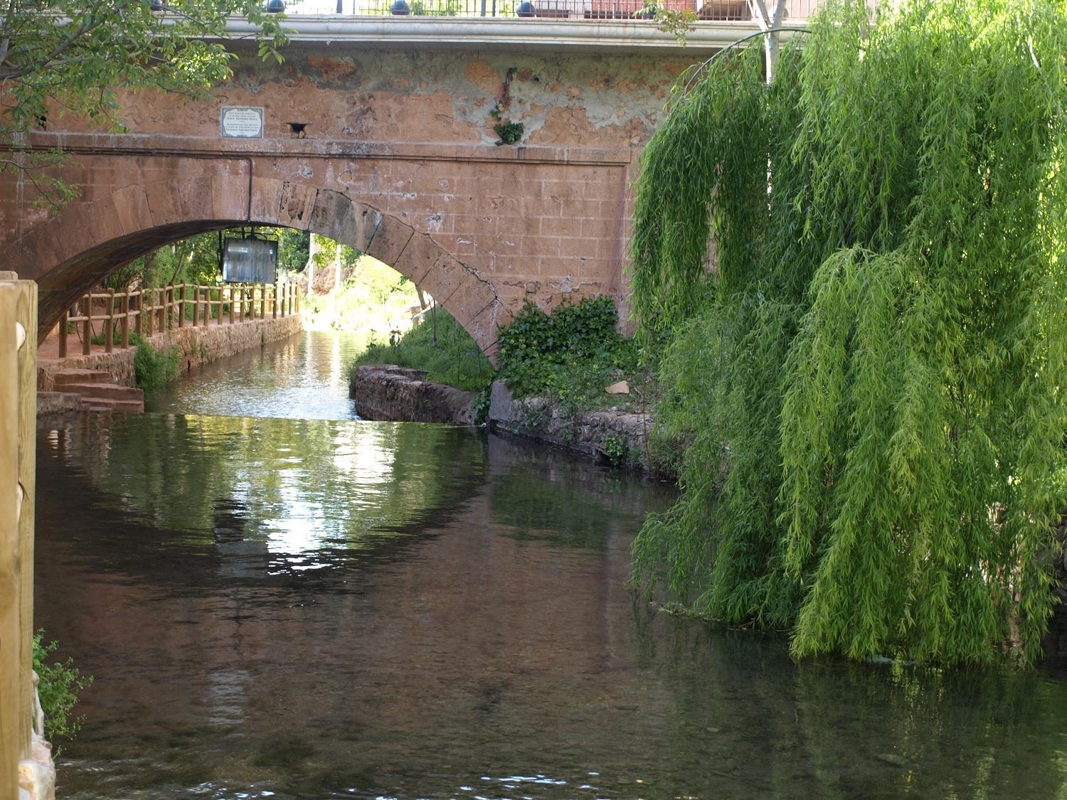 Photo 29