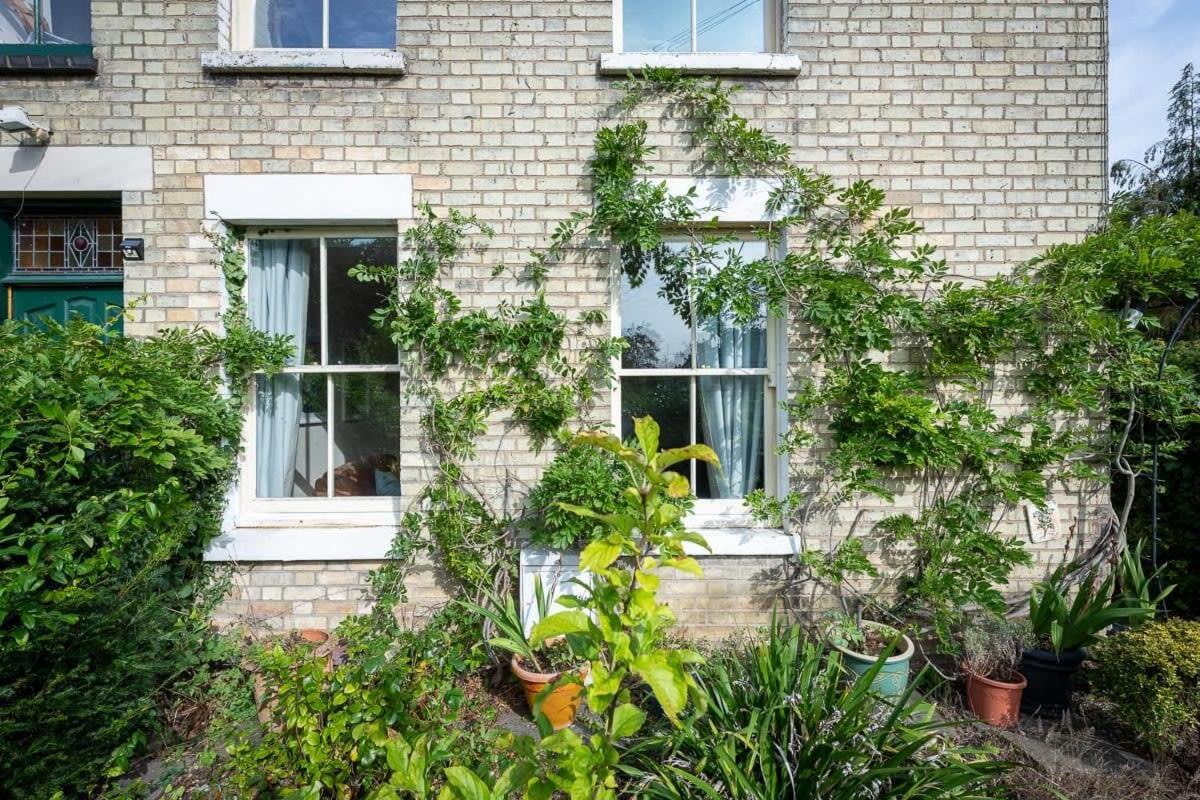 Peaceful Oasis 3 Beds House with Garden and Parking