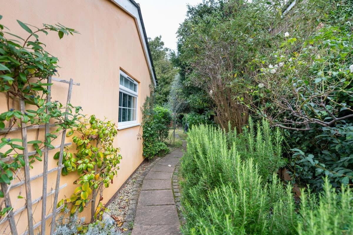 Peaceful Oasis 3 Beds House with Garden and Parking