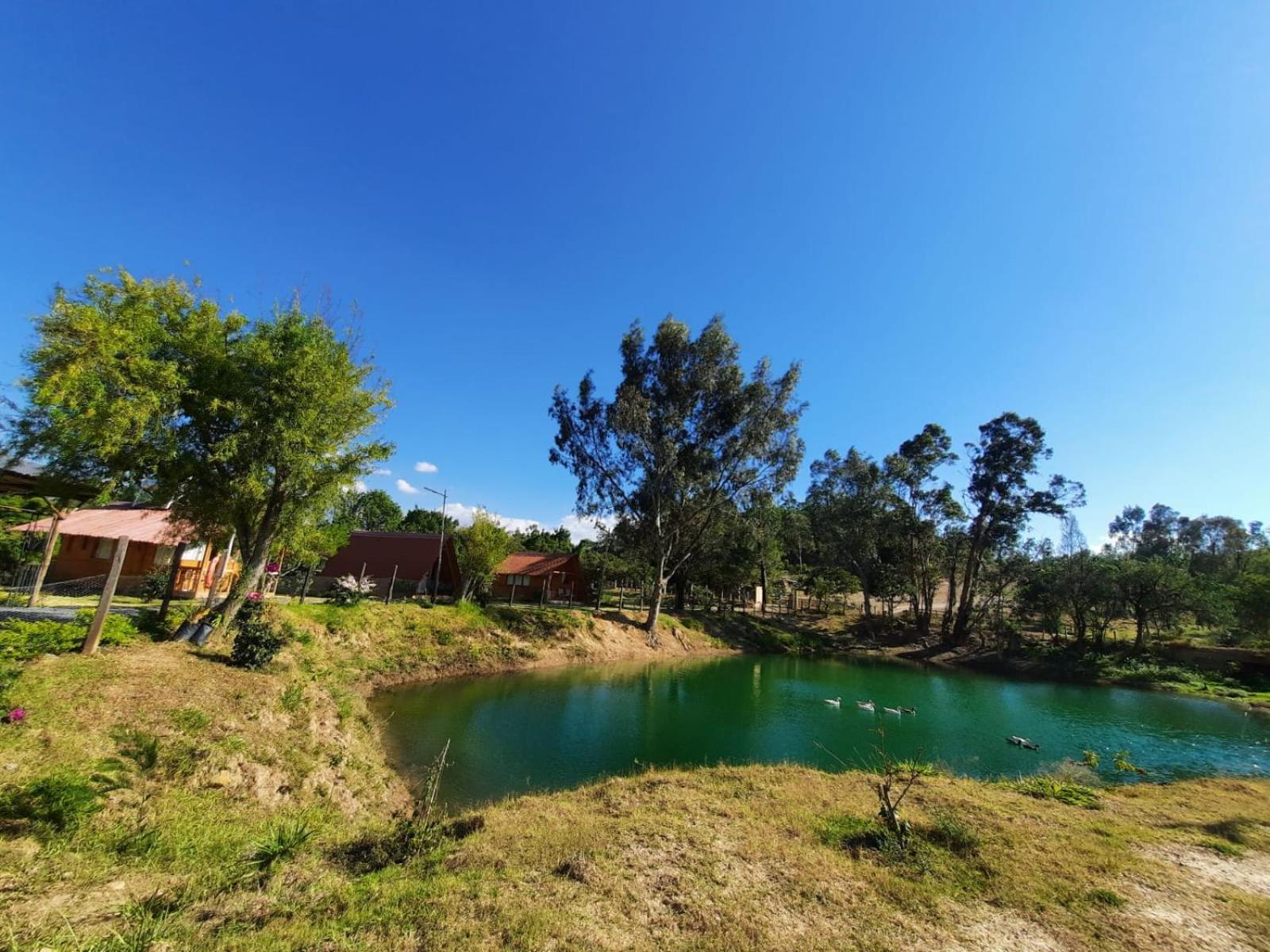 Glamping El Muelle