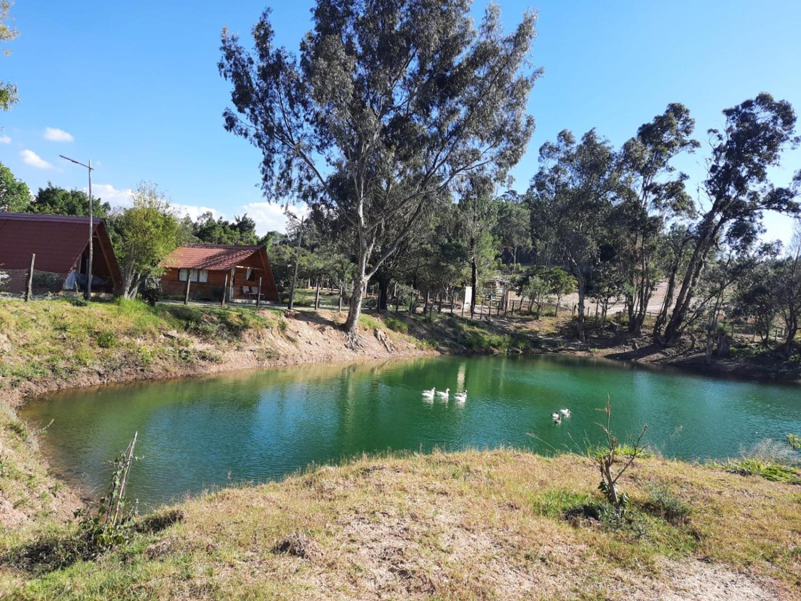Glamping El Muelle