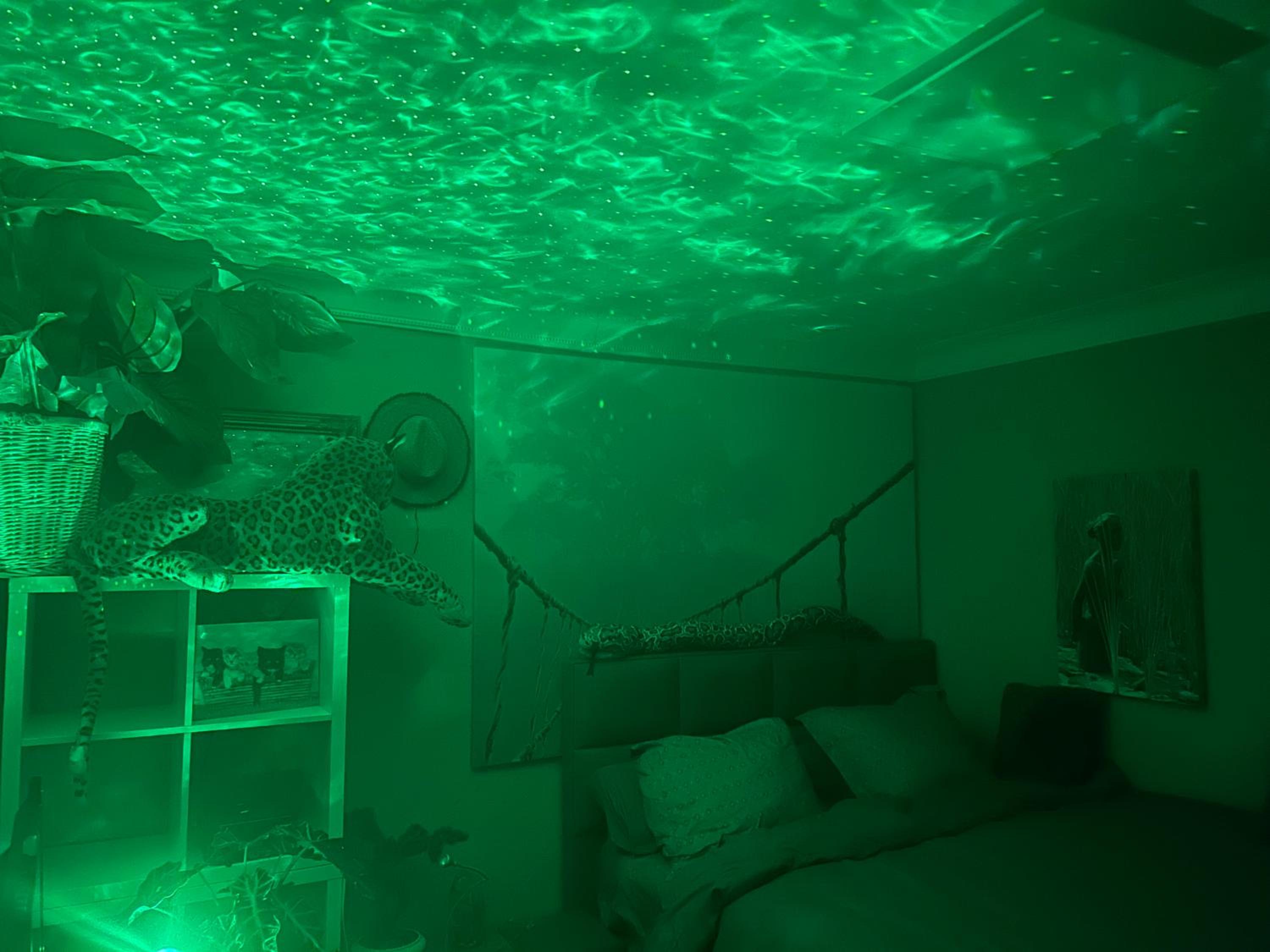 Jungle Magic Room near Atomium , Heyzel Stadium