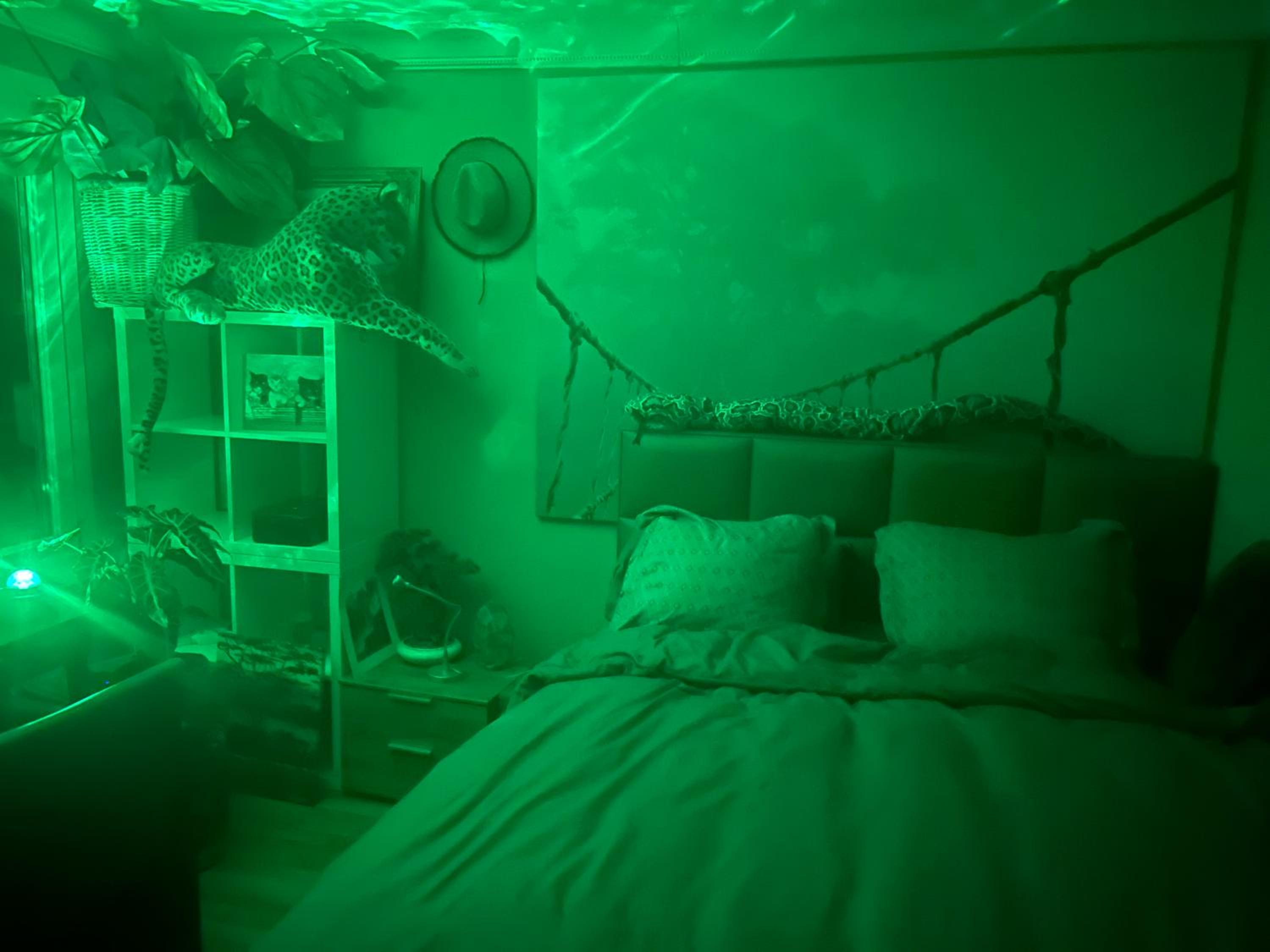 Jungle Magic Room near Atomium , Heyzel Stadium