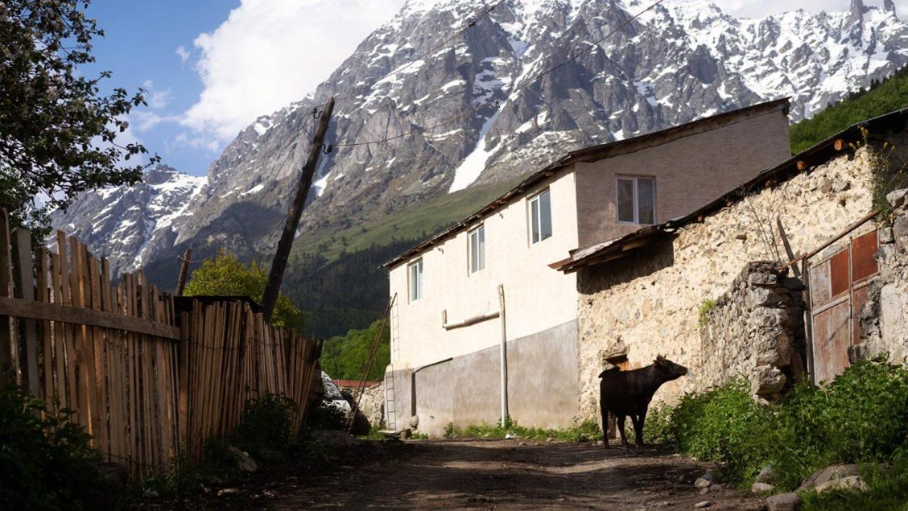 Iason Guest House in Mazeri view 3
