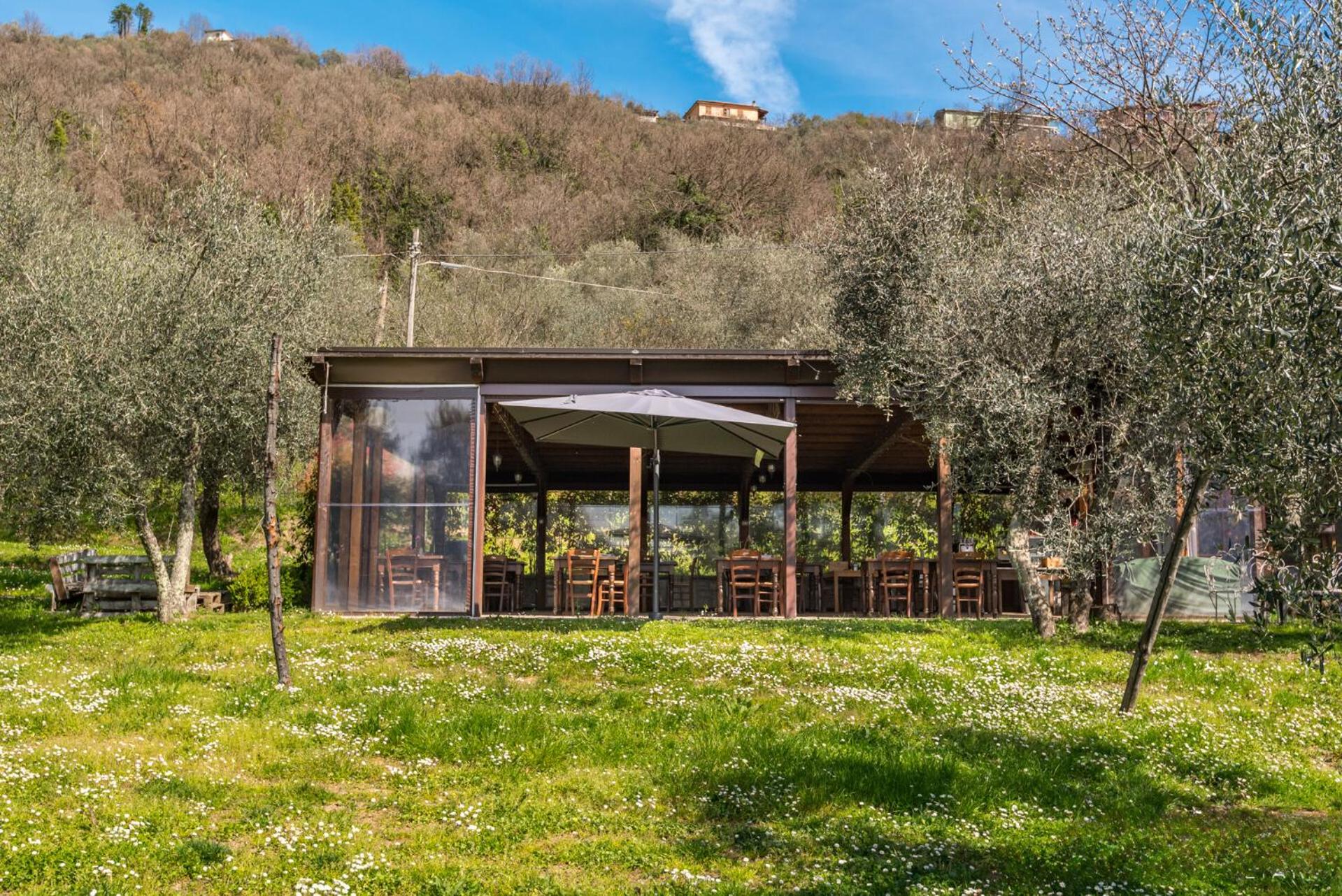 Un'Ottima Annata B&B view 5