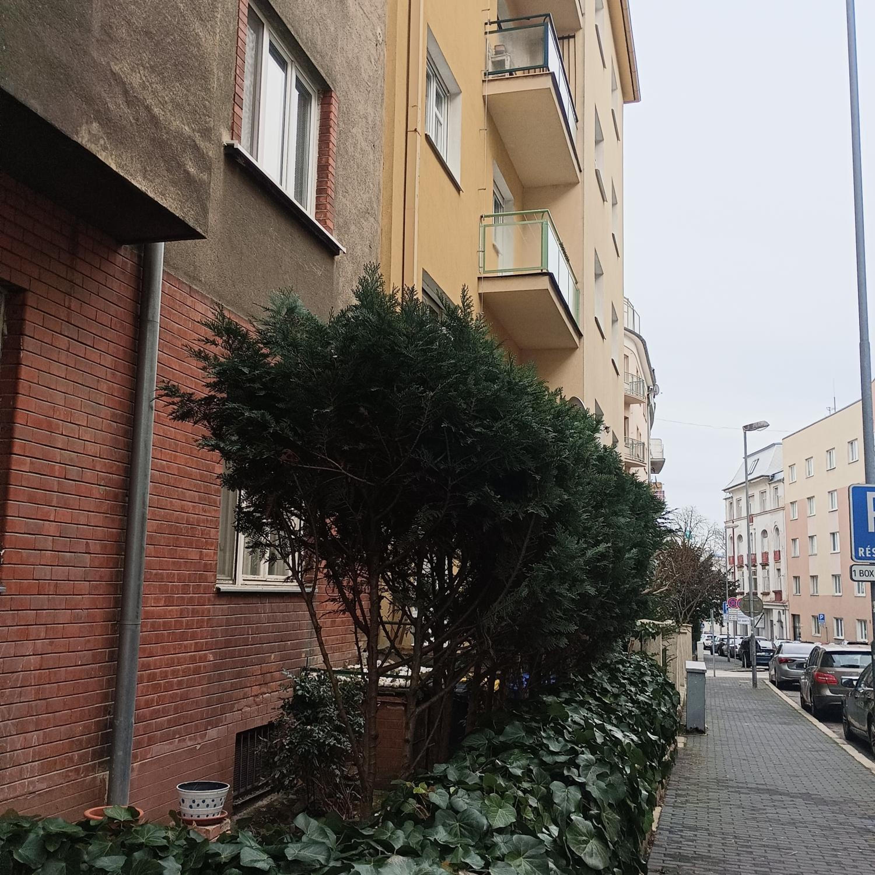Mona Lisa Apartment view 2