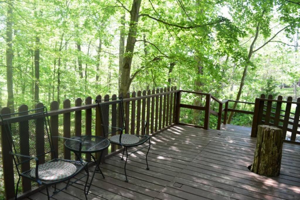 A-Frame Cabin #2 on Patoka Lake in Southern Indiana view 3