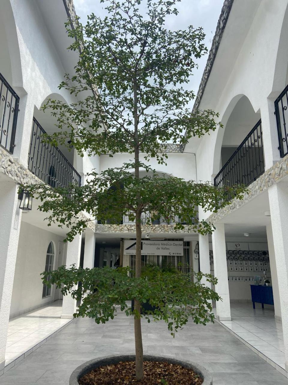 Maria Cristina
