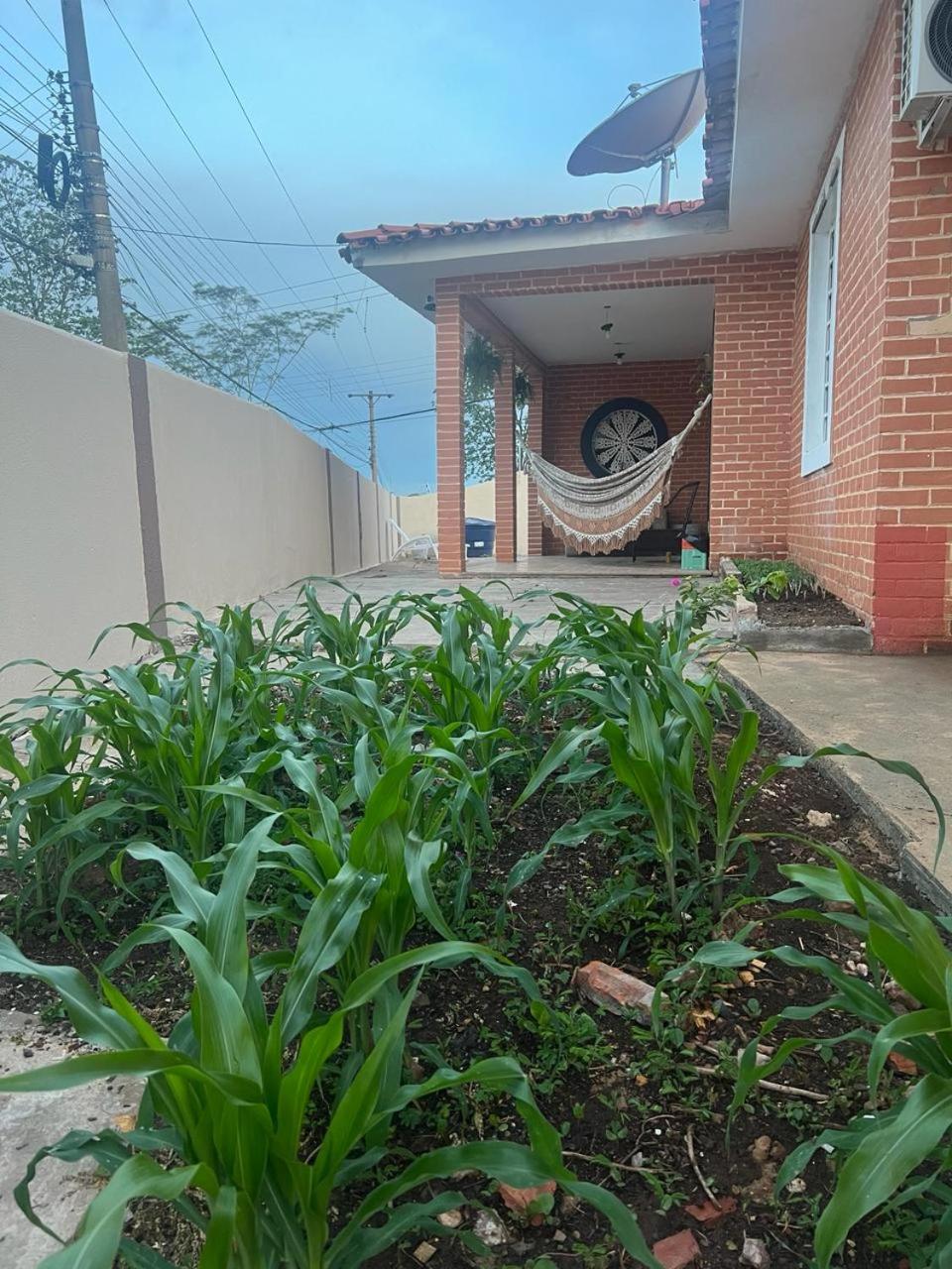 Hotel Ceres - suíte Artista Helo - 25