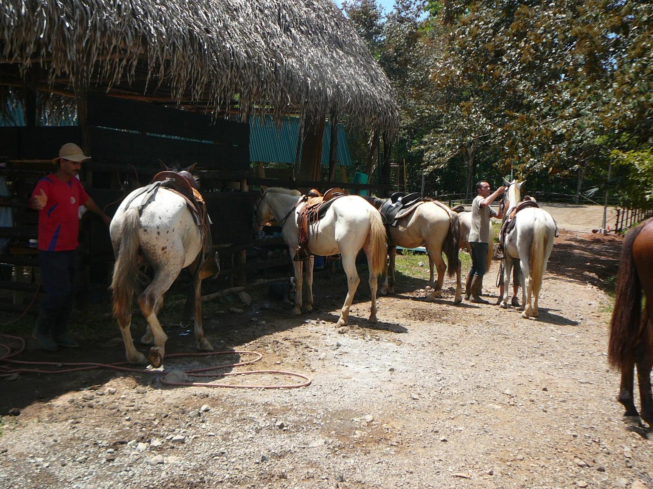 Casas Buenas Brisas