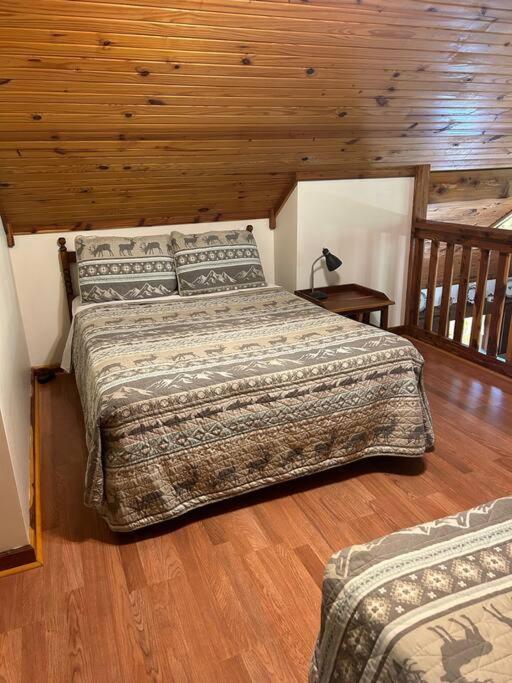 Deluxe Cabin #10 with Jacuzzi on Patoka Lake in Southern Indiana view 4
