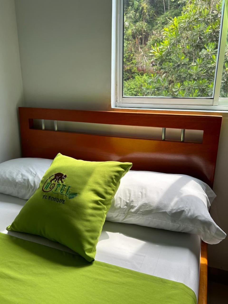 HOTEL EL BOSQUE - RIO CLARO - Property Image 7