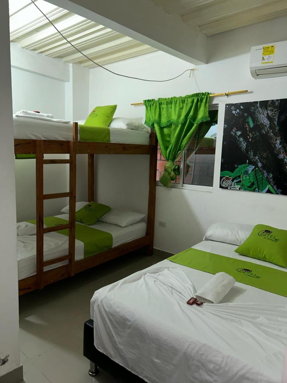 HOTEL EL BOSQUE - RIO CLARO - Property Image 4