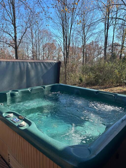Optimum Cabin #12 with Hot Tub and Jacuzzi on Patoka Lake in Southern Indiana view 3