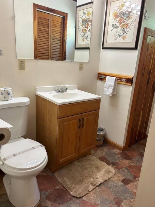 Two Bedroom Cozy Cabin #14 on Patoka Lake in Southern Indiana view 3