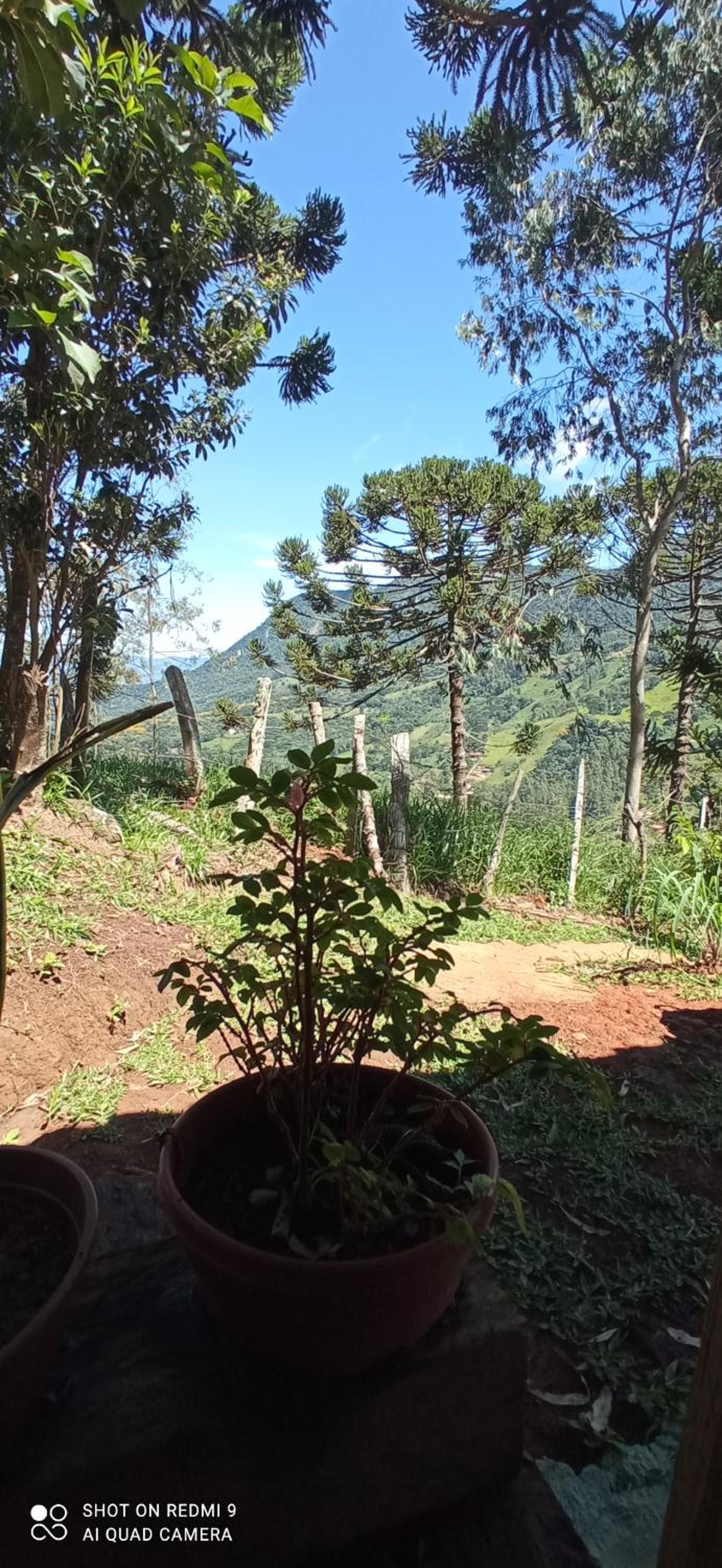 Chalé serra azul