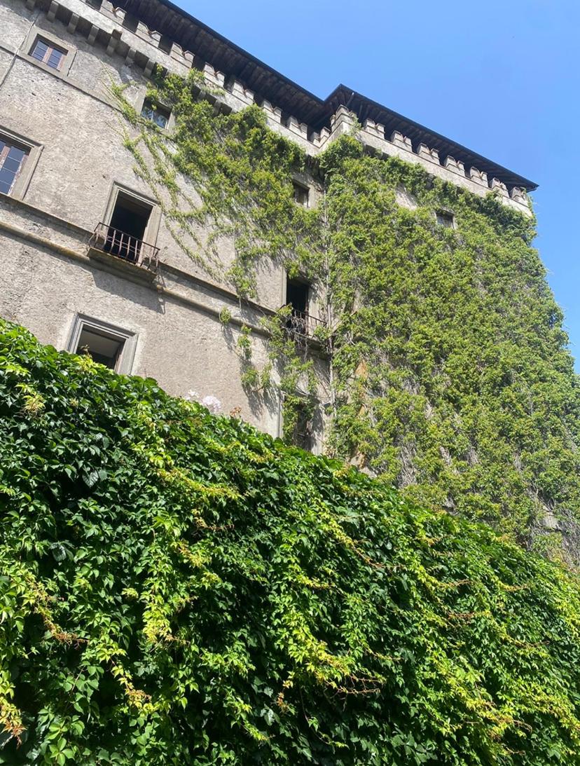 DOLCE VITA