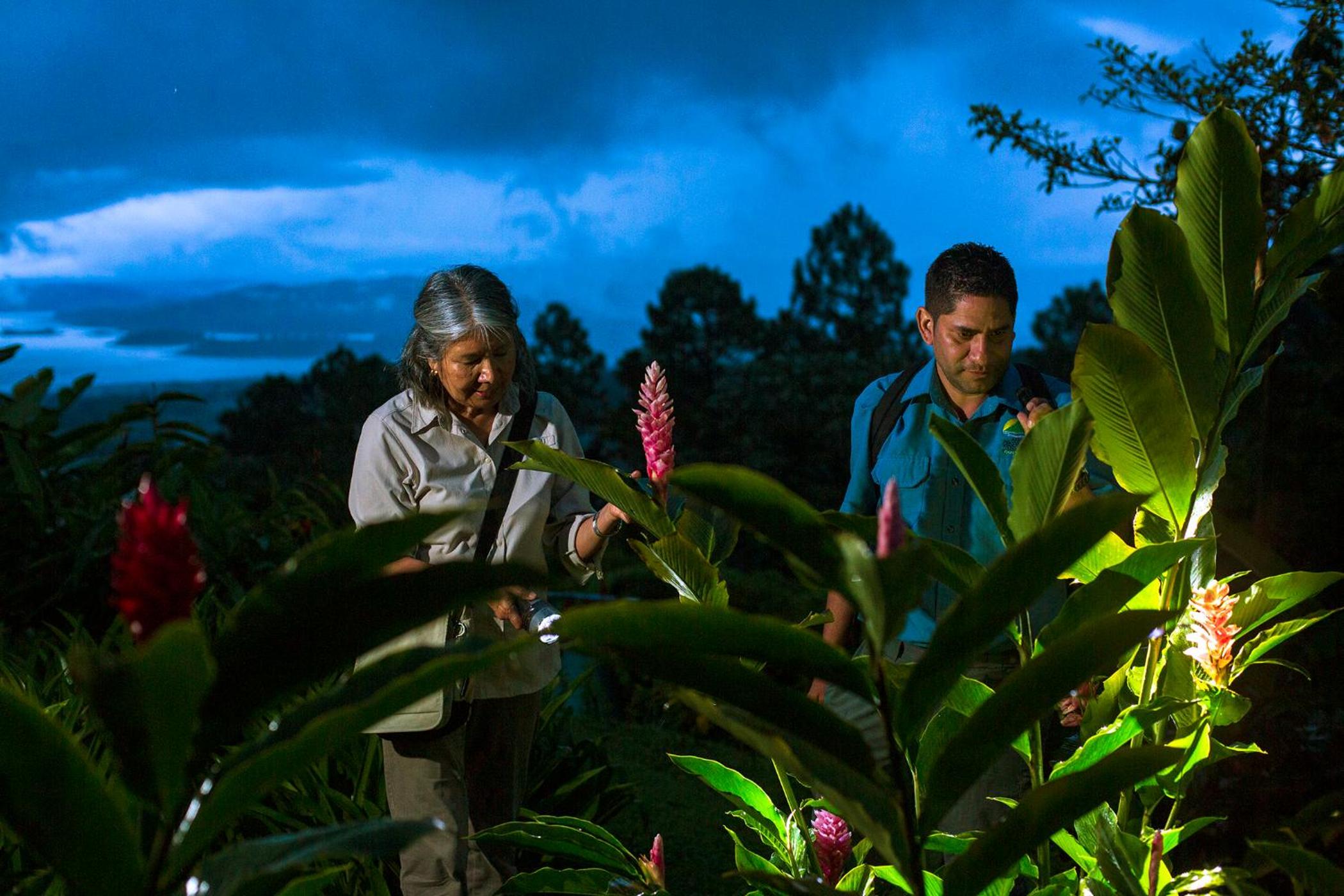 Arenal Observatory Lodge & Trails