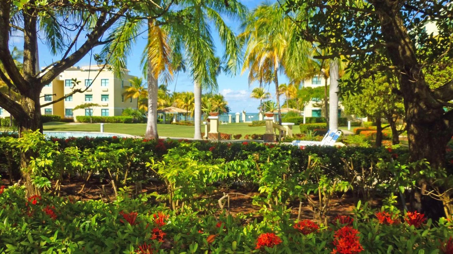Sandy Cove