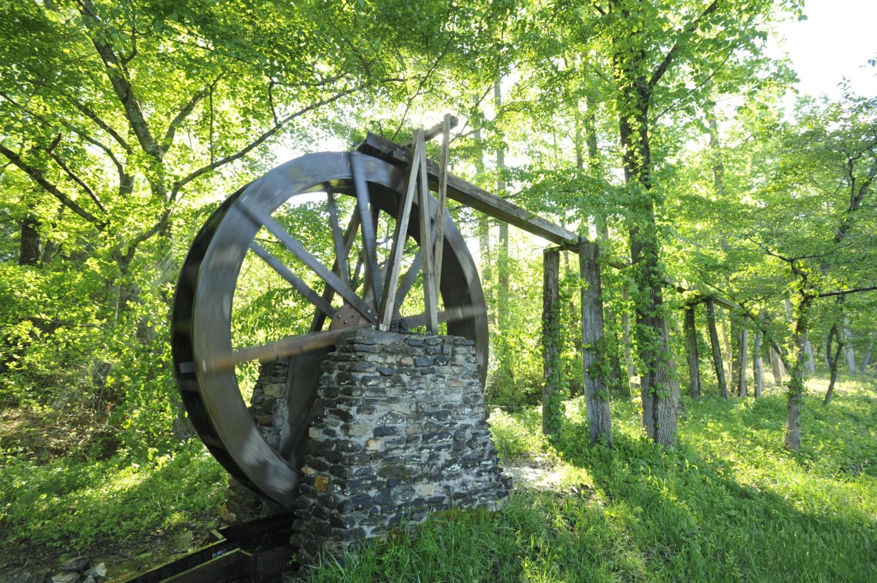 Photo 45
