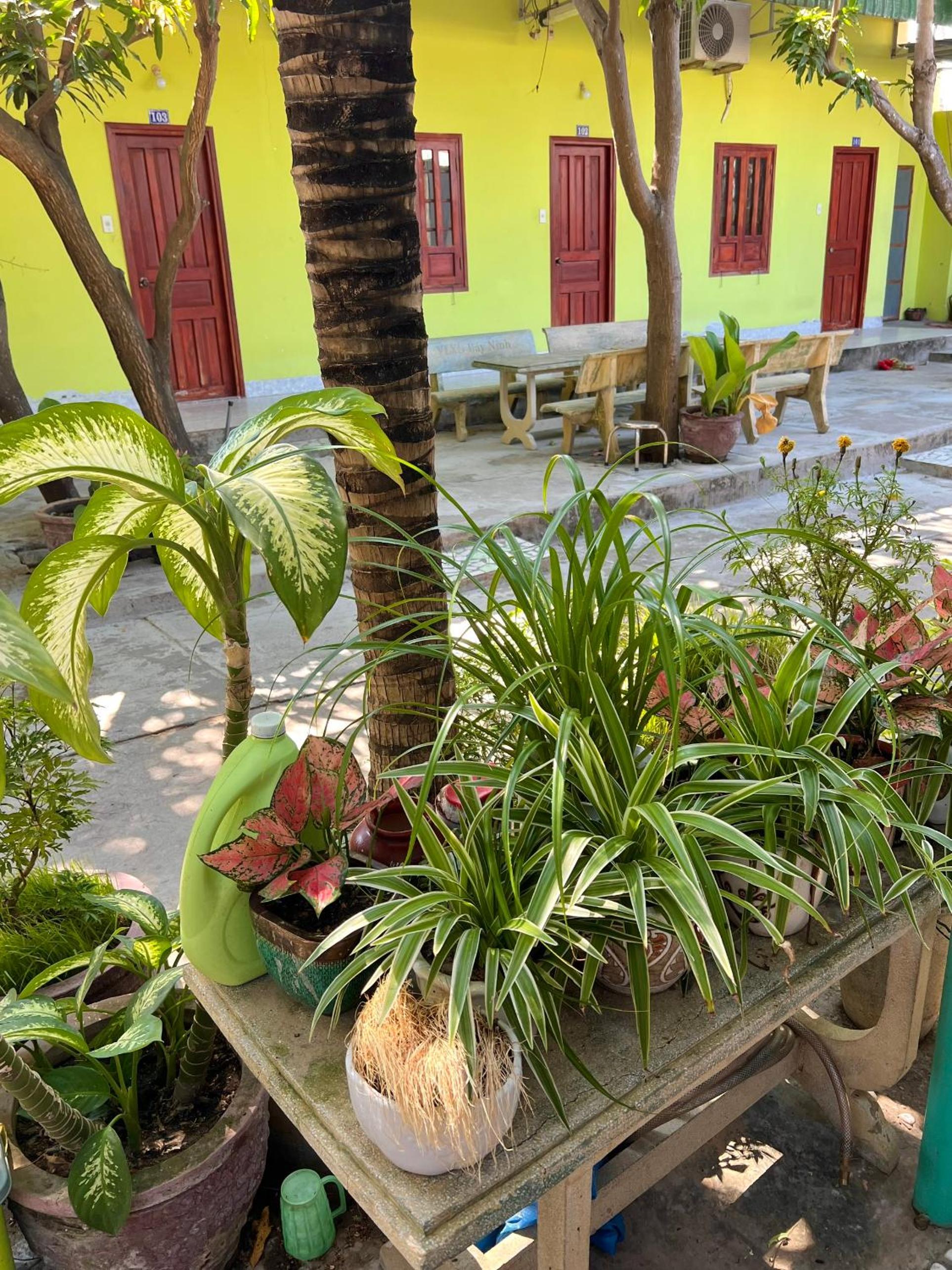 Thao Vi Guest House Duc Thao