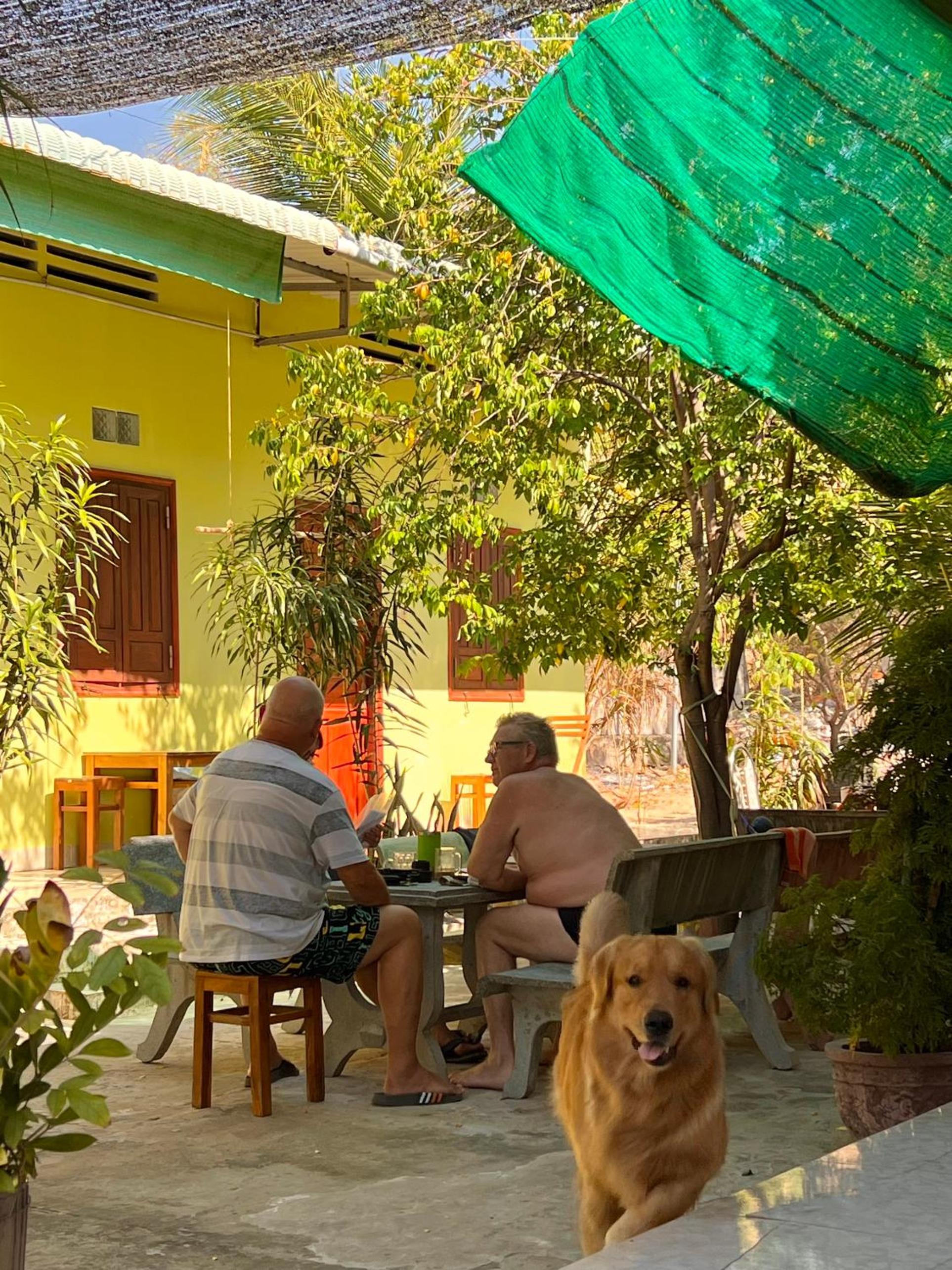 Thao Vi Guest House Duc Thao