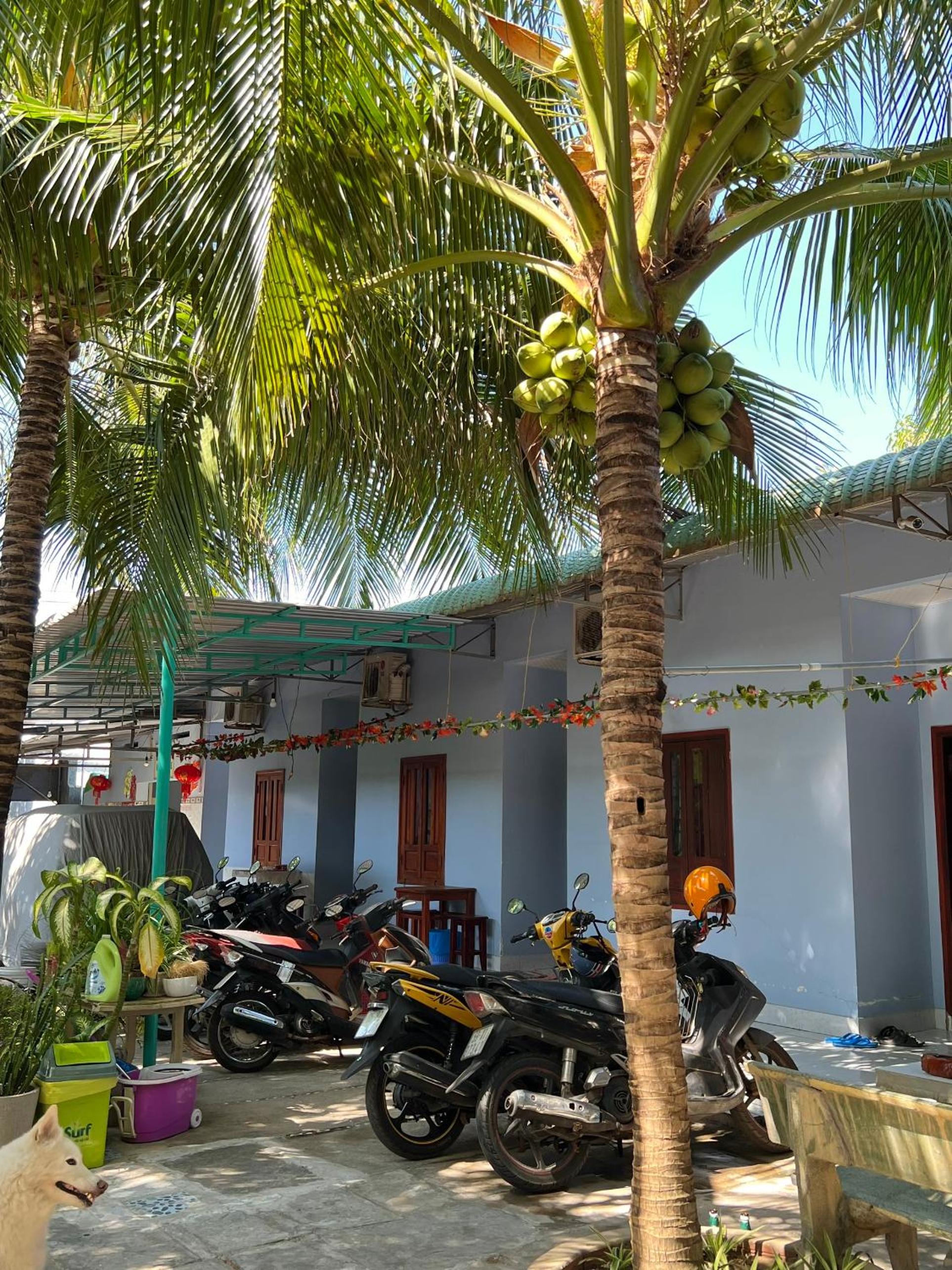 Thao Vi Guest House Duc Thao