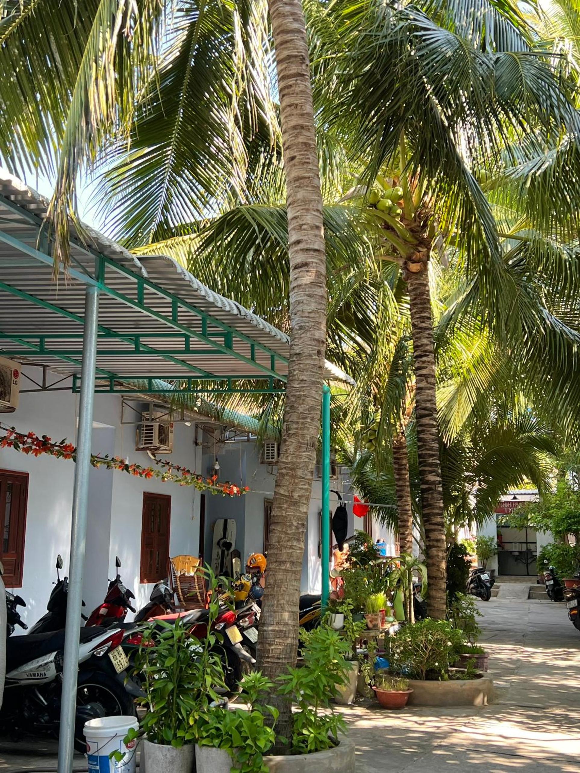 Thao Vi Guest House Duc Thao
