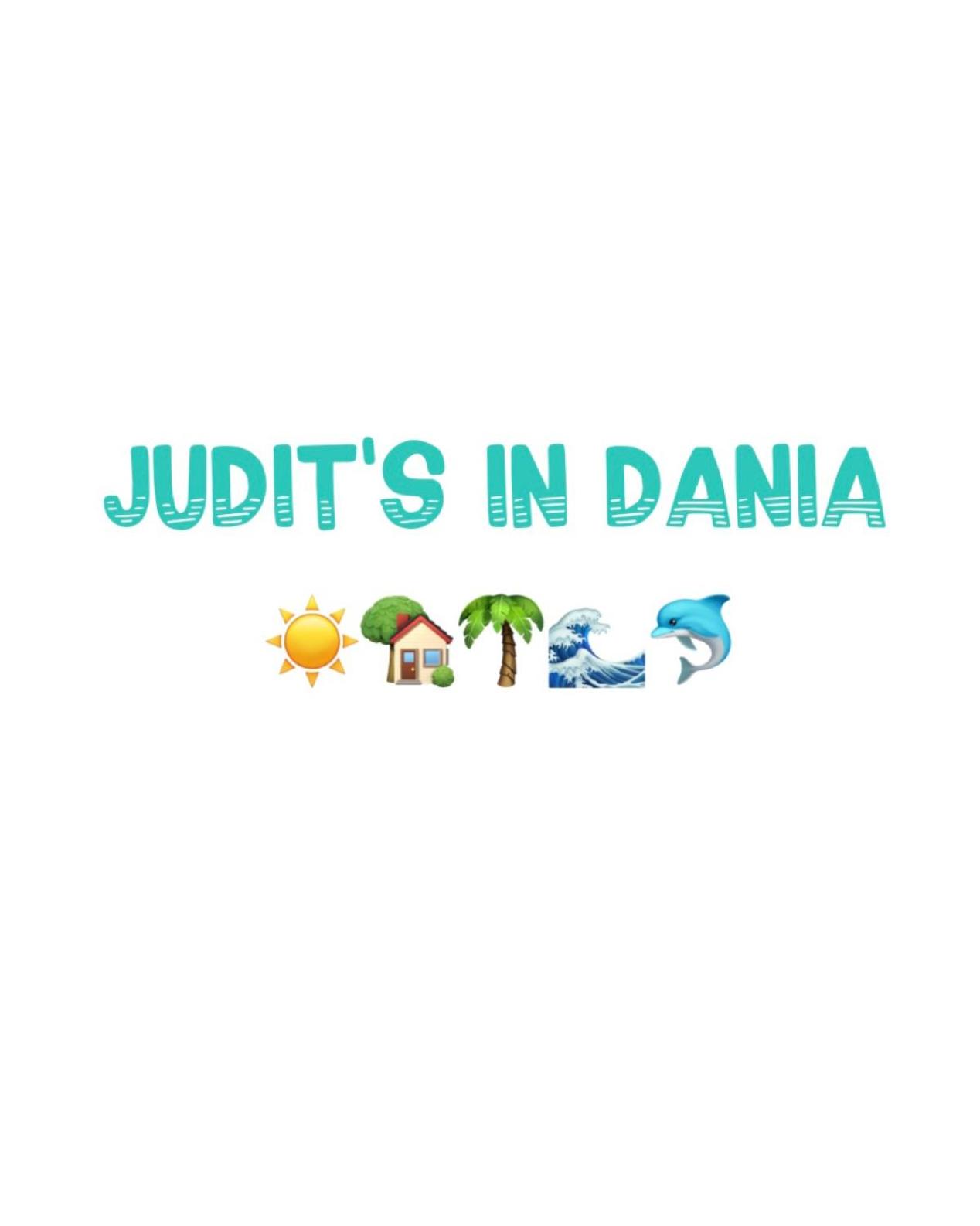 Judit’s in Dania view 4