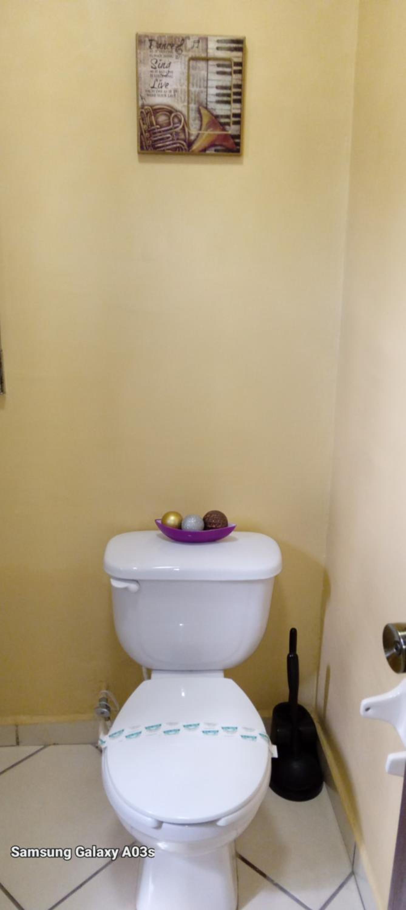Photo 61