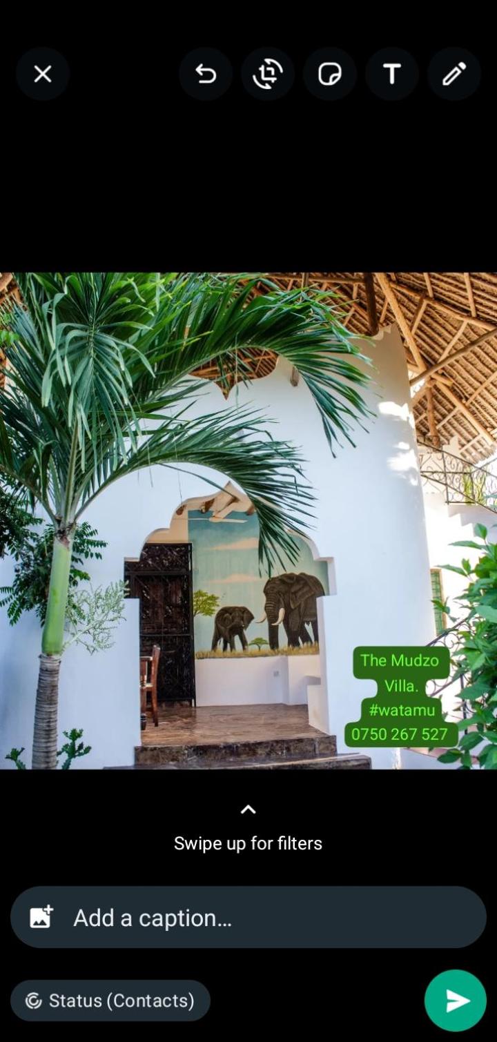 Mudzo villa view 2