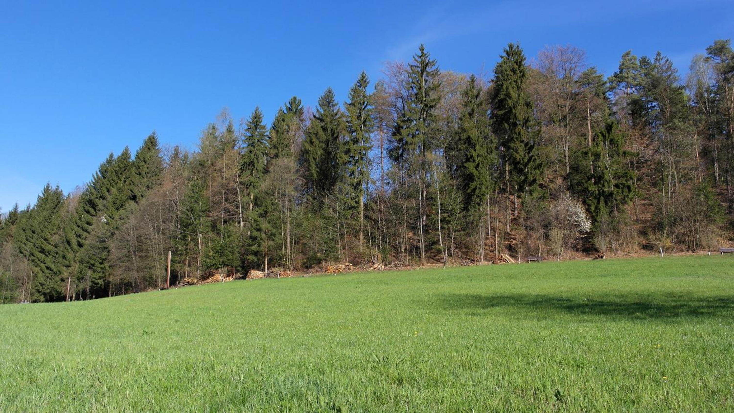 Landhaus Waldfrieden