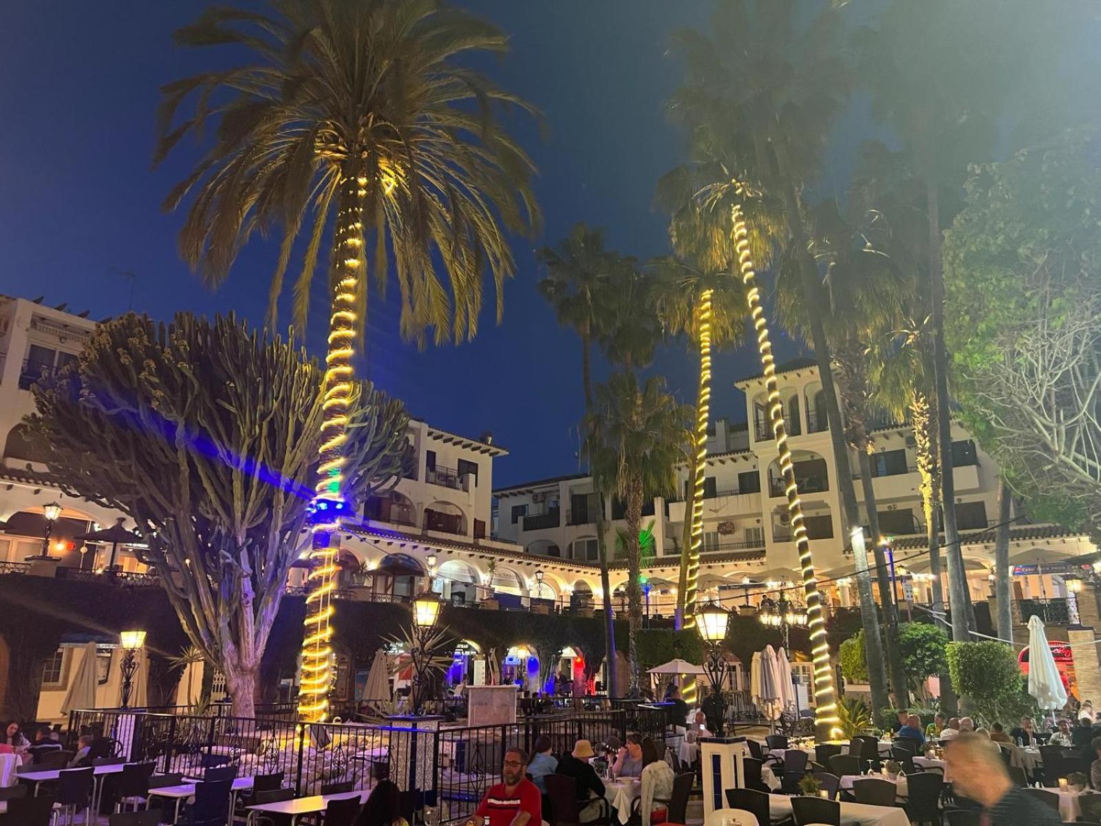 Palmview Poolside Heaven in Turquesa del Mar